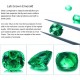 Ruif Jewelry Customized PT950 4.1ct Lab Grown Emerald Ring With DEF Lab Grown Diamond Band Jewelry for Women