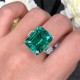 Ruif Jewelry Customized PT950 14.62ct Lab Grown Emerald Ring With DEF Lab Grown Diamond Band Jewelry for Women