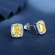 Ruif Jewelry Classic Design S925 Silver 2ctx2pcs Yellow/White Color Simulated Diamond Earrings Cubic Zircon Earrings Gemstone Jewelry