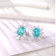 Ruif Jewelry Classic Design S925 Silver 7.102ct Lab Grown Paraiba Sapphire Earrings Gemstone Jewelry