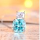 Ruif Jewelry Classic Design S925 Silver 15.55ct Lab Grown Paraiba Sapphire Earrings Gemstone Jewelry