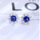 Ruif Jewelry Classic Design S925 Silver 2.93ct Lab Grown Emerald Earrings Red Ruby Royal Blue Sapphire Gemstone Jewelry