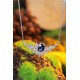 Ruif Jewelry Classic Design S925 Silver 2.715ct Royal Blue Lab Grown Sapphire Pendant Necklace Gemstone Jewelry