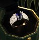 Ruif Jewelry Classic Design S925 Silver 2.58ct Lab Grown Ruby And Royal Blue Sapphire Ring Wedding Bands