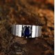 Ruif Jewelry Classic Design S925 Silver 2.47ct Lab Grown Sapphire Ring Wedding Bands Men's ring