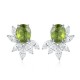 Ruif Jewelry Classic Design S925 Silver 6.44ct Natural Garnet/5.72ct Natural Peridot Earrings Gemstone Jewelry